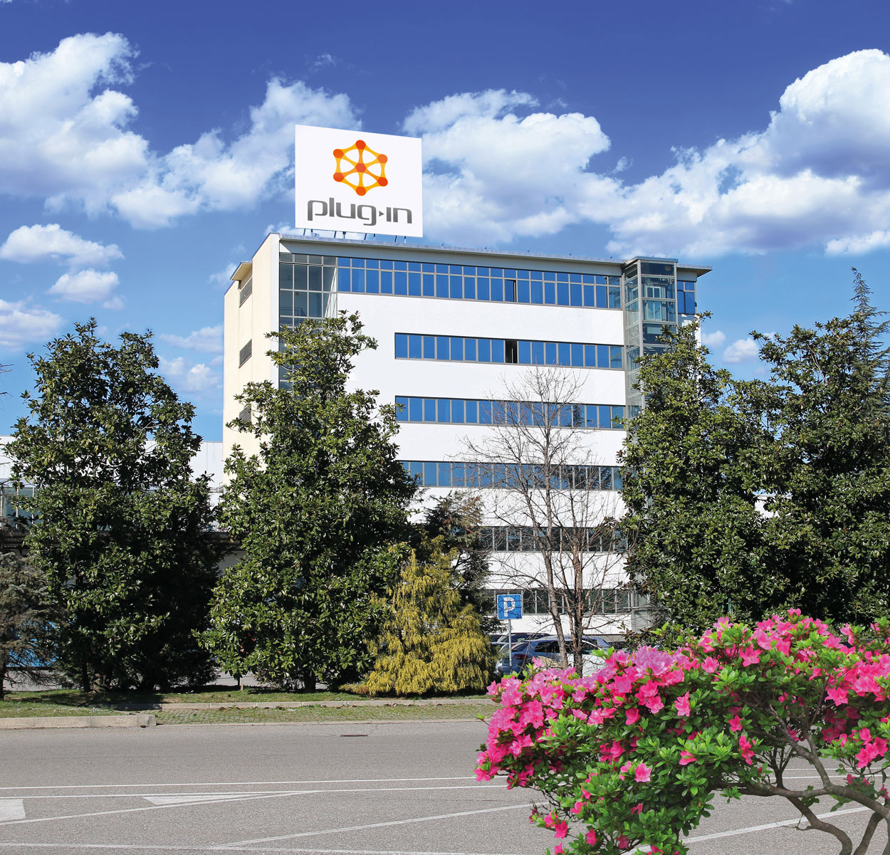 Sede Plug-in Srl