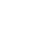 Plug-in Logo